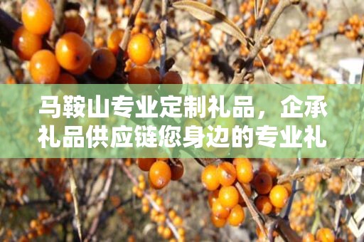 马鞍山专业定制礼品，企承礼品供应链您身边的专业礼品定制公司